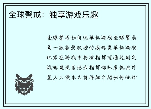 全球警戒：独享游戏乐趣